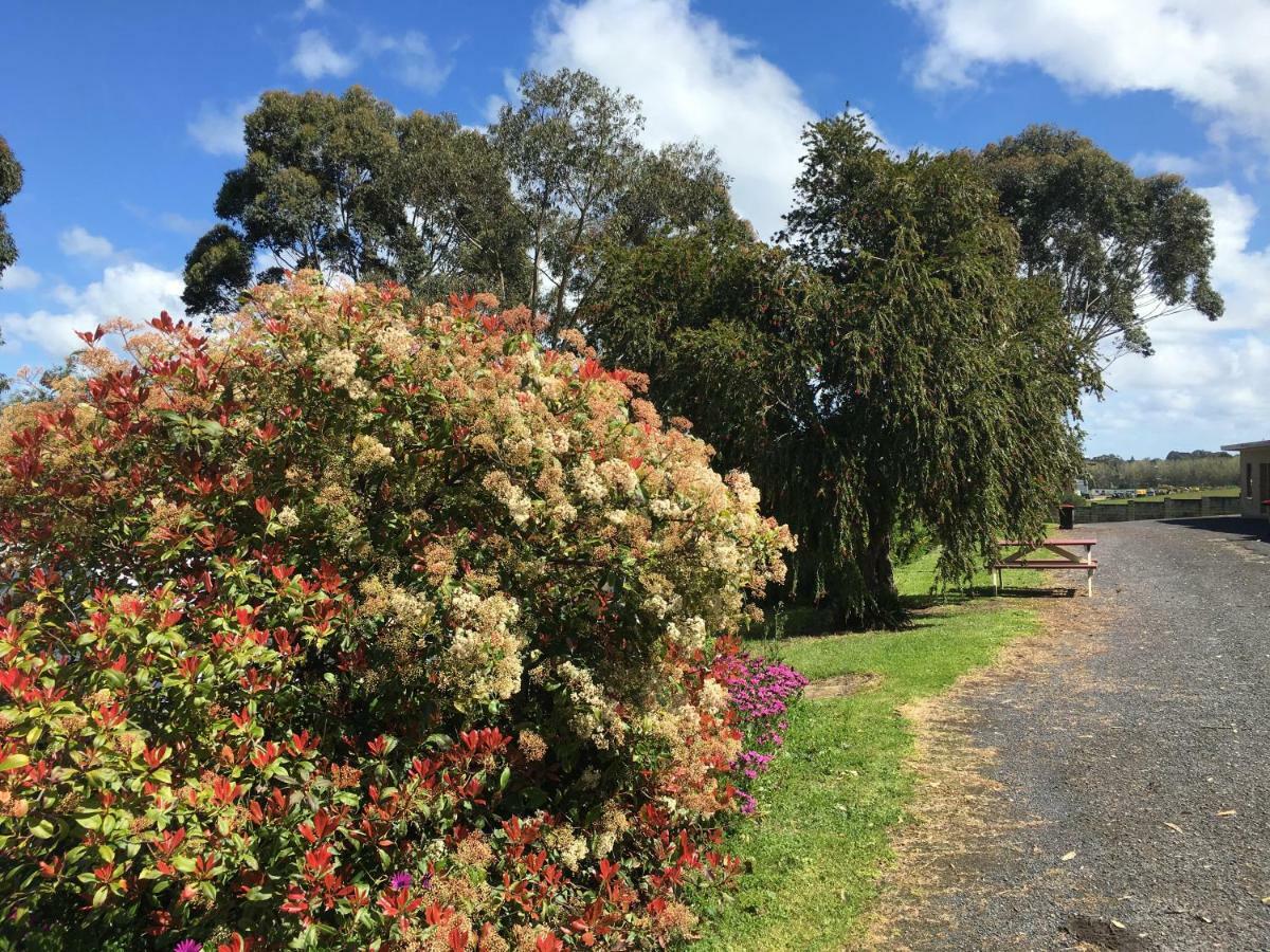 Limestone Coast Tourist Park Mount Gambier Ngoại thất bức ảnh